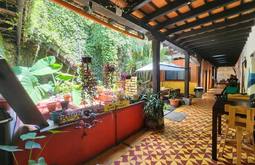 Amura Hostal-1