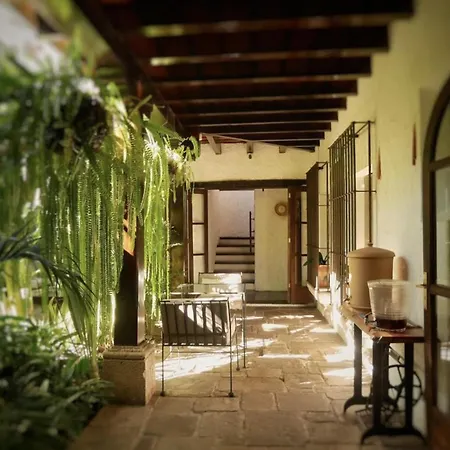 Cacao Boutique Hotel-3